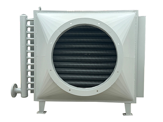 Economizer