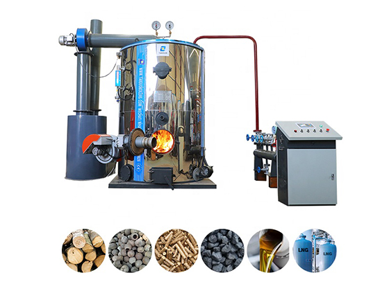 LHSG Multi-Fuel Steam Boiler