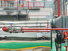 Feedwater Valves