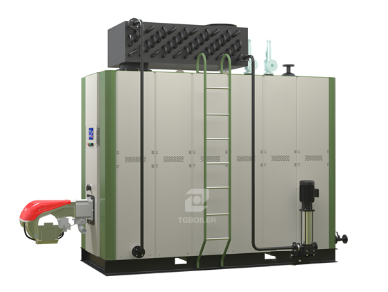 ZWWS Series 5 Firepass Oil (Gas) Steam Boiler