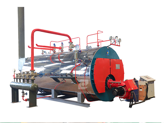 Quick-Assembly Type WNS Series Oil & Gas Steam Boiler