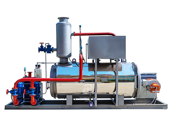 CWNS Oil Gas Hot Water Boiler