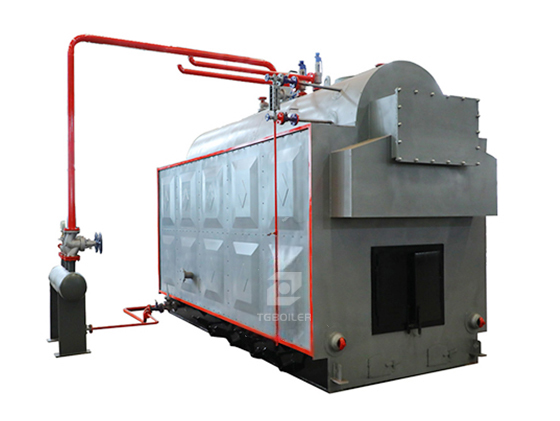 DZH Biomass Steam Boiler