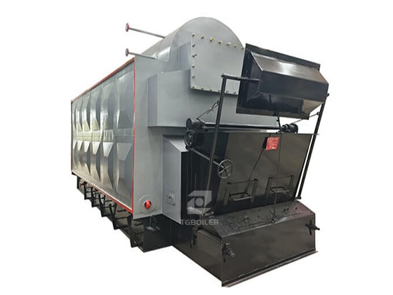 DZL Biomass Steam Boiler