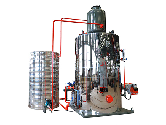 Quick-Assembly Type LHS Series Oil & Gas Fired