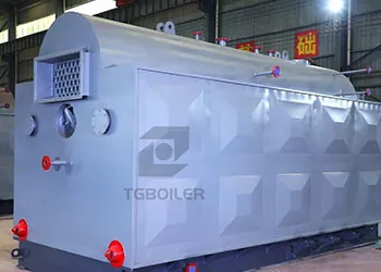2ton coal biomass steam boiler for textile and dyeing industry