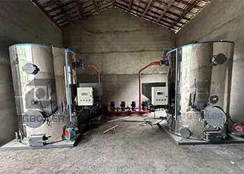 1 ton biomass hot water boiler to be used in russia greenhouse cultivation