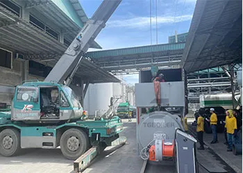 2-ton gas-fired hot water boiler used in cement plant