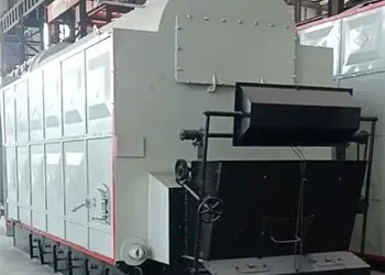 3000kg biomass steam boiler will working in south africa