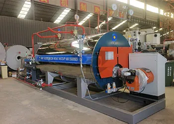 1000kg hr oil gas fired Steam Boiler Will Be Used For Livestock Farming In Trinidad