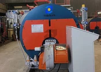 1 Ton oil gas fired Steam Boiler Will Be Used For Livestock Farming In Trinidad