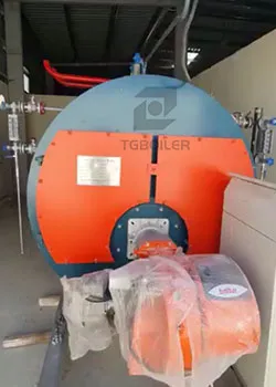 sri lankan garment factory customizes tgboiler 1.5ton diesel steam boiler