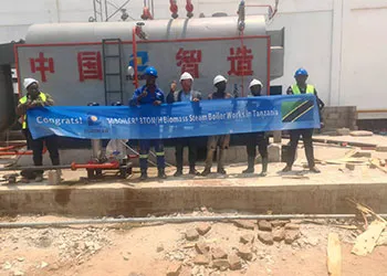 TGBoiler 3Ton Biomass Steam Boiler Works In Tanzania