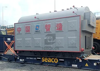 one set 6ton biomass steam boiler for textile factory