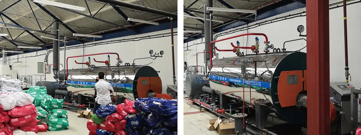 TGBOILER Gas Boiler Working in UK for Washing Plant.webp