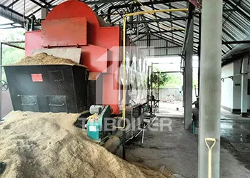 6tons/h coal biomass fired steam boiler