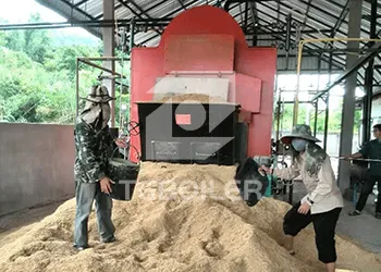 6tons/h coal biomass fired steam boiler