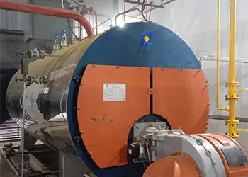 Gas-fired Steam Boiler Successfully Finished The Installation in Uzbekistan 