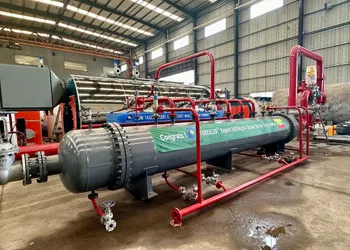 new type thermal oil heating & gas heating steam boiler 