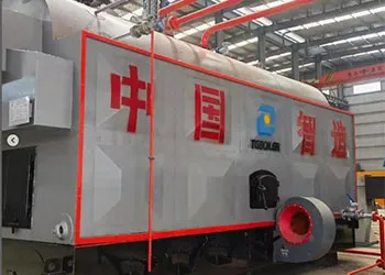 dzh biomass steam boiler successfully completed