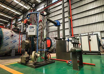 0.3Ton Biomass Steam Boiler has been successfully completed