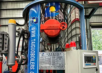 Biomass Steam Boiler has been successfully completed