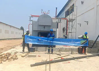 tgbioler 3000kg biomass steam boiler installed in tanzania