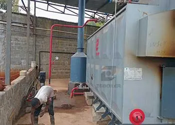 tgboiler 2000kg/h biomass steam boiler is working in kenya