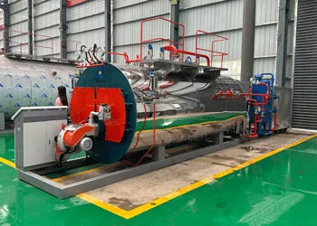 tgboiler 3ton/h steam boiler