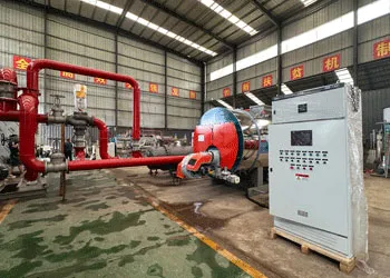 tgboiler horizontal gas heating steam boiler was successfully completed