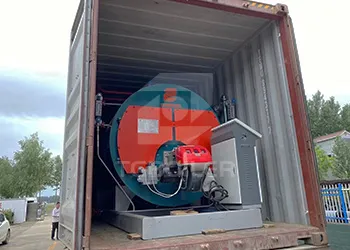 tgboiler 2 tons/h steam boiler for the paper and food industries