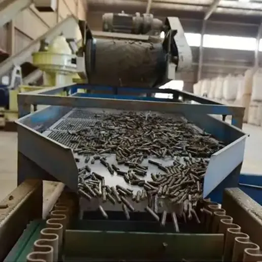 fuel used in biomass boilers