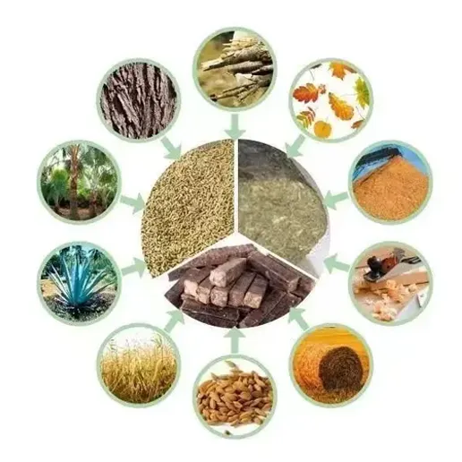 Fuel Used in Biomass Boilers (3).webp