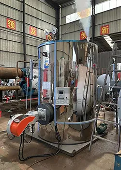 1000kg/h vertical fire-tube boiler powers mushroom farm