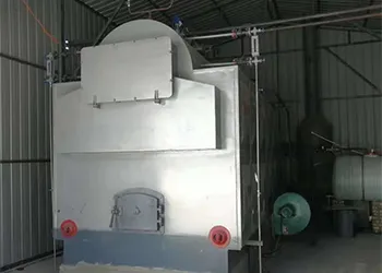 3-ton biomass-fired steam boiler project in the philippines (2).webp