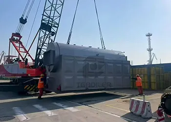 tgboiler exports 5t/h biomass-fired steam boiler to indonesia project