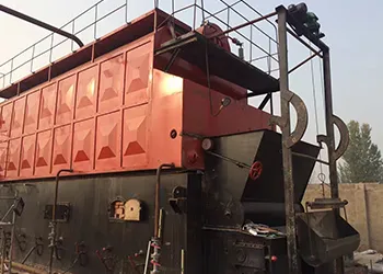 10 ton double-drum biomass fired steam boiler for paper mill