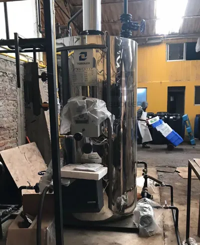 1tonh Natural Gas Steam Boiler Applied in Food Processing Plant (2).webp