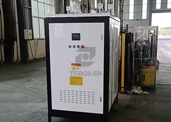 200kgH Electric Steam Boiler Commissioned for Philippine Food Industry (1).webp