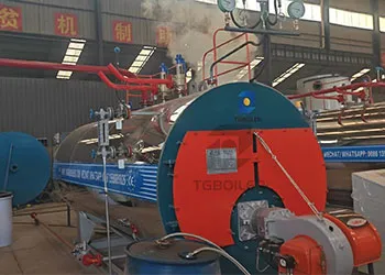 wns2 steam boiler for hong kong final factory testing