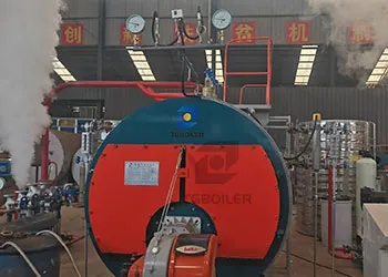 wns2 steam boiler for hong kong final factory testing