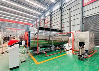 6 ton automatic dual fuel steam boiler for meat processing plant