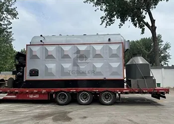 4 th Biomass Chain Grate Boiler Exported to Bangladesh  (2).webp