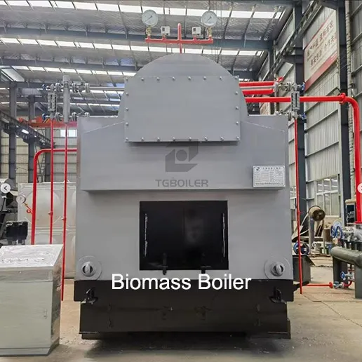 TGBoiler biomass  boiler.webp