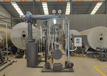 500kgh Vertical Biomass Boiler Shipped to the Philippines  (1).webp