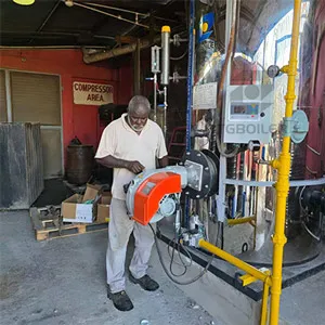 tgboiler 500 kgh Vertical Gas Fired Steam Boiler Installed in Jamaica (1).webp