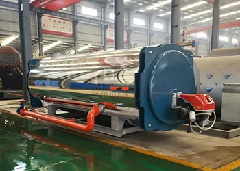 TGBOILER 1 Ton Hot Water Boiler for a Hotel in the Maldives (1).webp