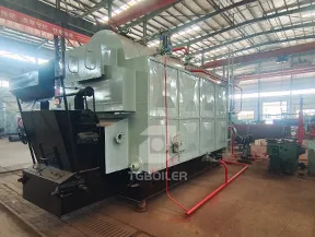 TGBOILER dzl biomass steam boiler