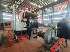 TGBOILER dzl biomass steam boiler