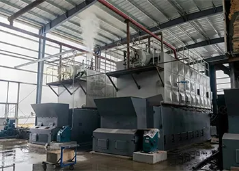 Two Sets 10 Ton SZL Biomass Boiler An Efficient Energy Solution for Southeast Asian Palm Oil Mills (2).webp